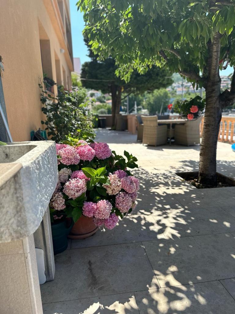 Apartmani Suzana 克罗诺维察 外观 照片